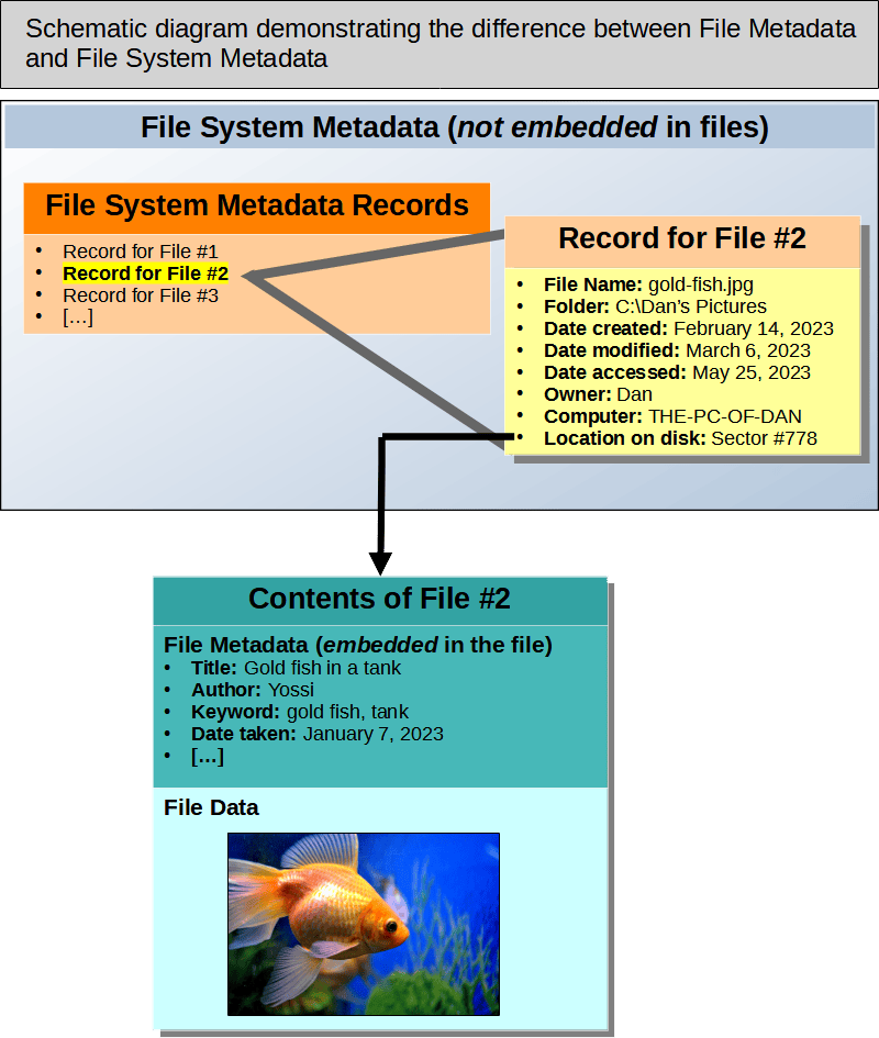 Schematic diagram demonstrating the difference between File Metadata and File System Metadata