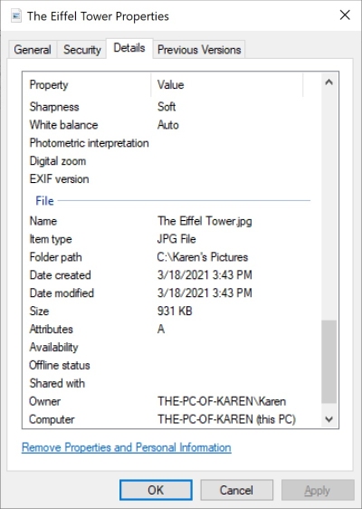 Windows File Properties Viewer showing Owner and Computer properties